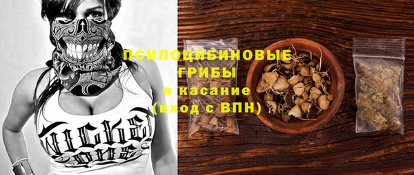 МДПВ Волосово